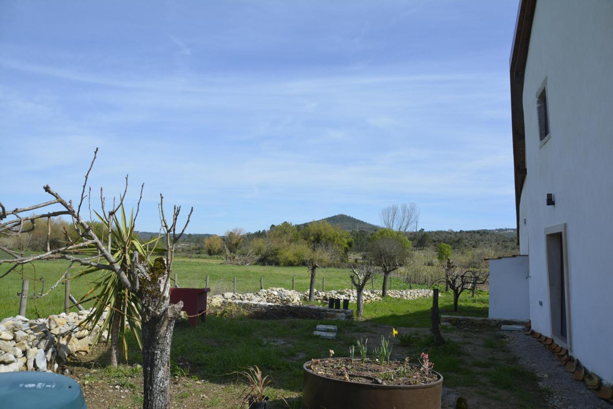 Casa Da Lima - Nestled In Nature On Santiago'S And Fatima'S Path, Close To Coimbra And Rabacal Alvorge Exterior foto