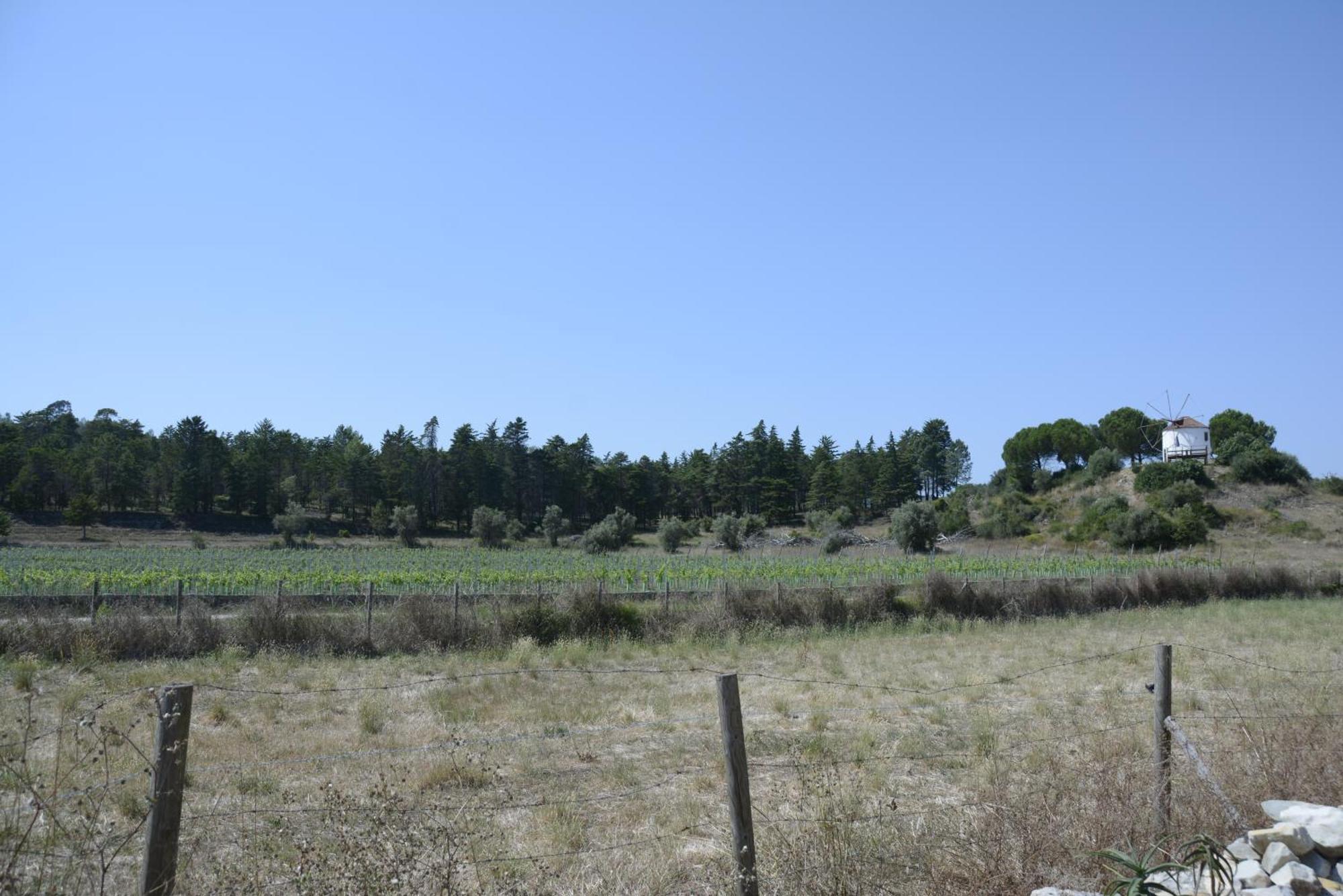 Casa Da Lima - Nestled In Nature On Santiago'S And Fatima'S Path, Close To Coimbra And Rabacal Alvorge Exterior foto