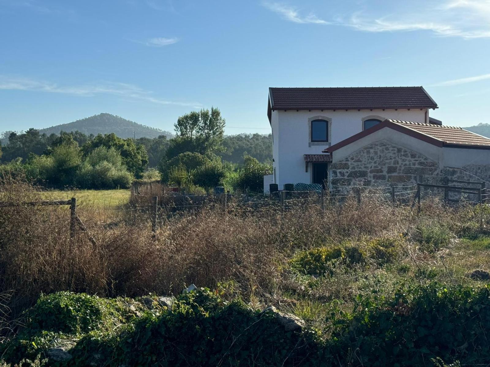 Casa Da Lima - Nestled In Nature On Santiago'S And Fatima'S Path, Close To Coimbra And Rabacal Alvorge Exterior foto