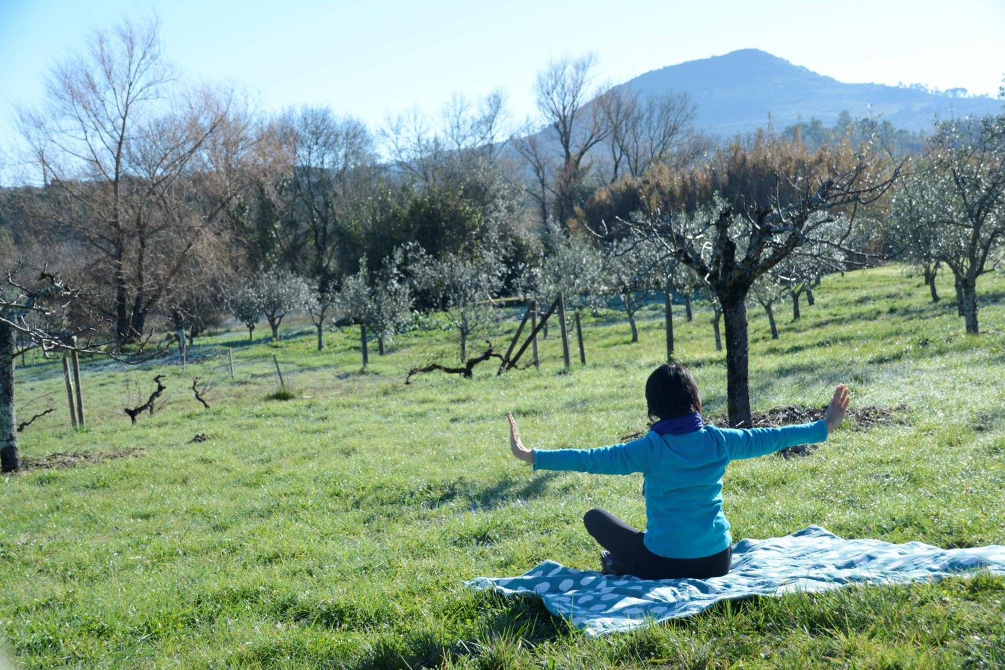Casa Da Lima - Nestled In Nature On Santiago'S And Fatima'S Path, Close To Coimbra And Rabacal Alvorge Exterior foto